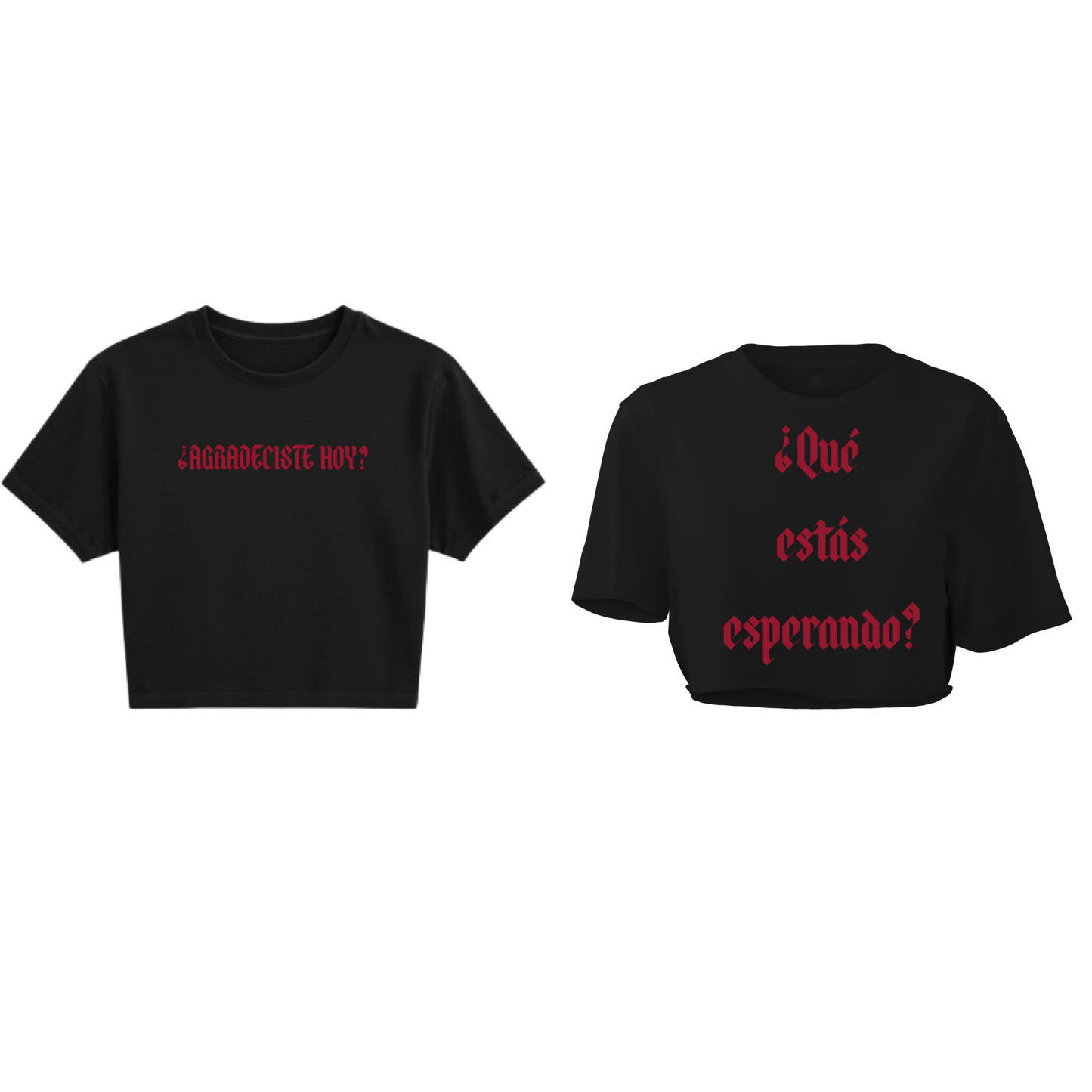 CROP TOP - ¿Agradeciste Hoy?
